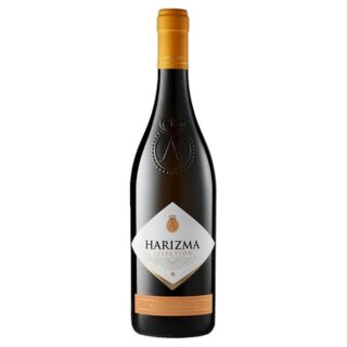 Harizma-Selection-Aleksandrovic