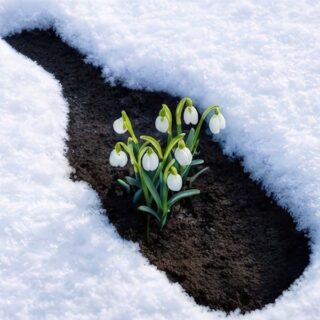 Paket L - za posebne prilike