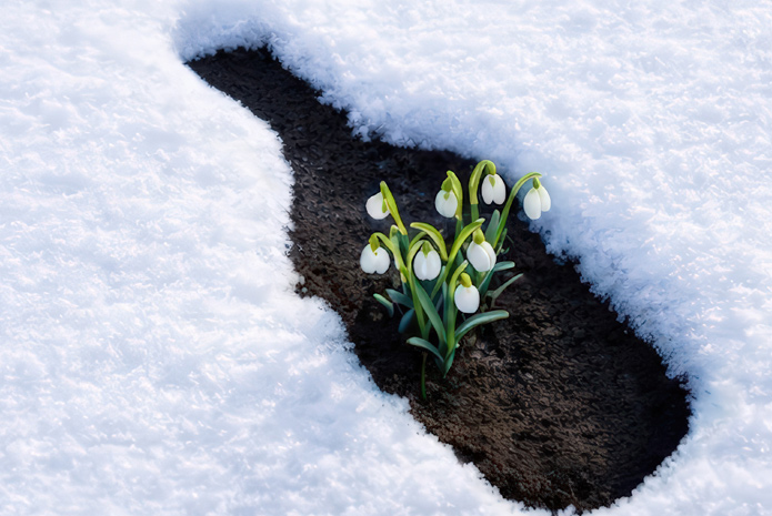 Februarski paketi vina za prave hedoniste